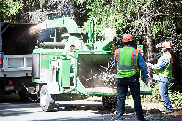 Best Firewood Processing and Delivery  in Delaware, OH